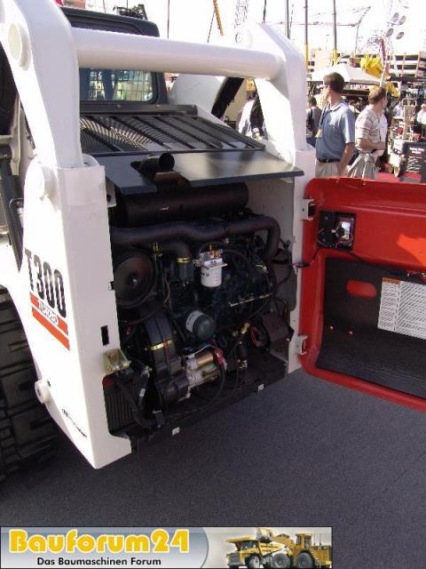 Bobcat010.JPG