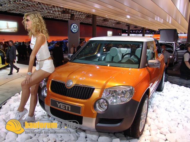 skoda_004.jpg