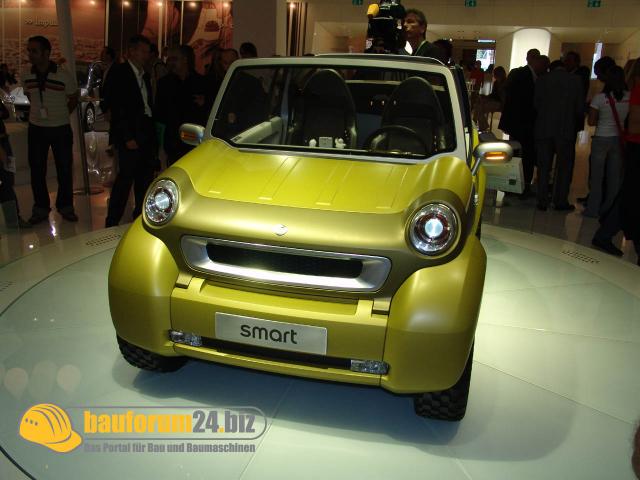 smart001.jpg