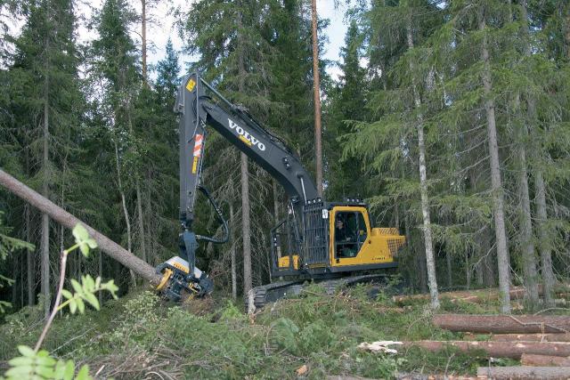 EC210B_Forestry.jpg