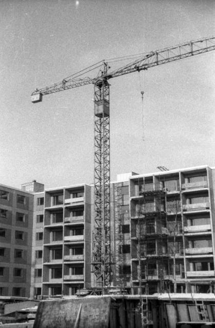 Crane_Potain_607.jpg