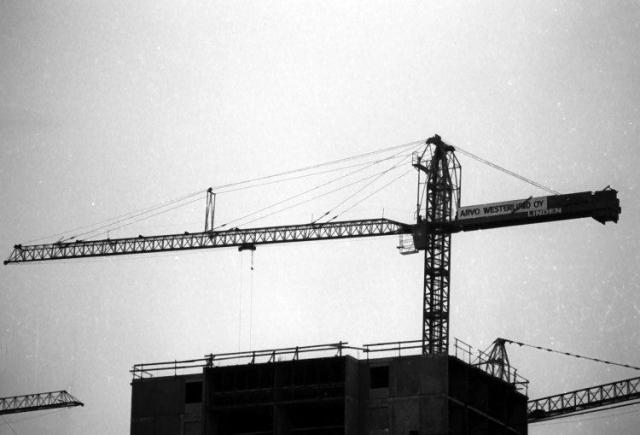 Crane_Linden_Helsinki.jpg