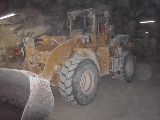 Cat950F.jpg