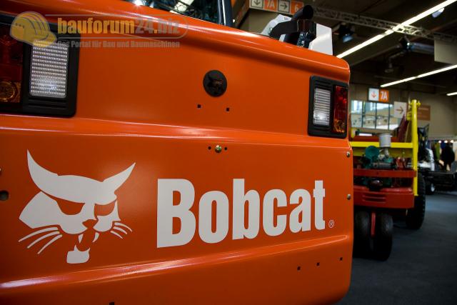 bobcat_02.jpg