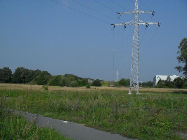 2010/08/post-16228-1281785876_thumb.jpg