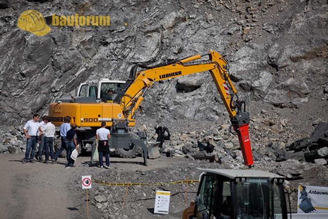 30_Liebherr_A900_Wertach2011.JPG