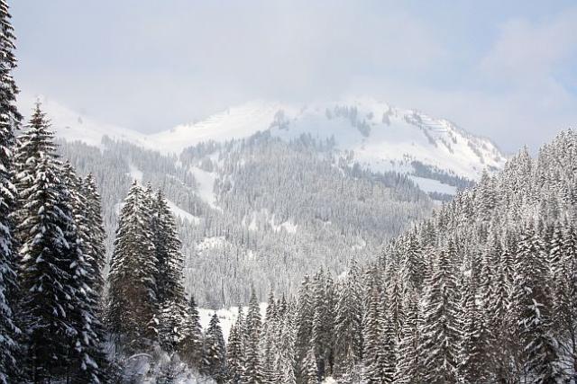 B_rgundth_tte_Walsertal_im_Winter_2012_055.JPG