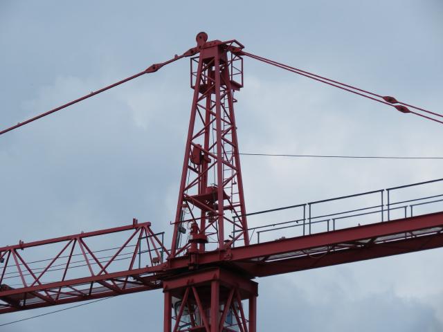 Wolfkrane_und_Liebherr_054_1.JPG