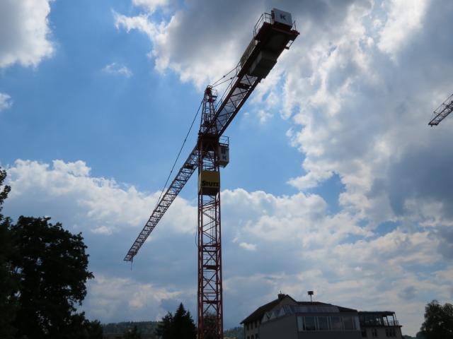 Wolfkrane_und_Liebherr_039_1.JPG