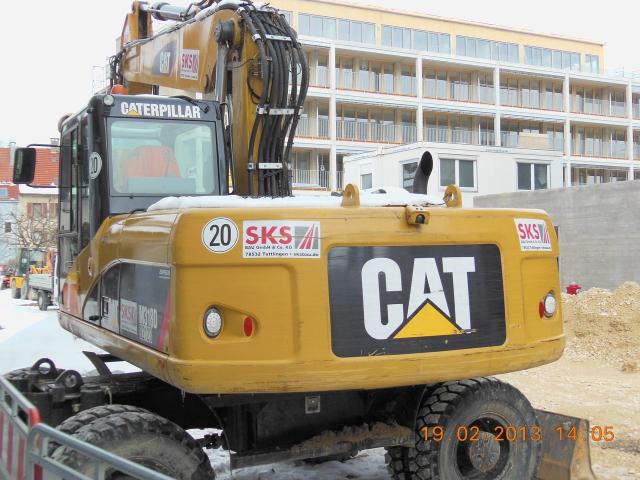 cat318.jpg