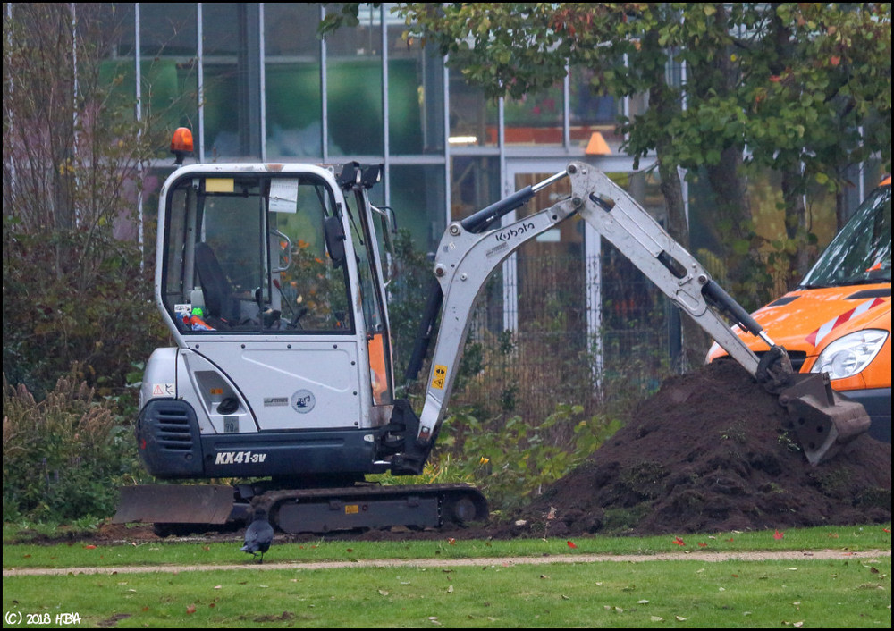 Kubota_KX41-3V_Stadtpark.thumb.jpg.78a3c7c21c9b1cbe66d4bba05fc7595b.jpg