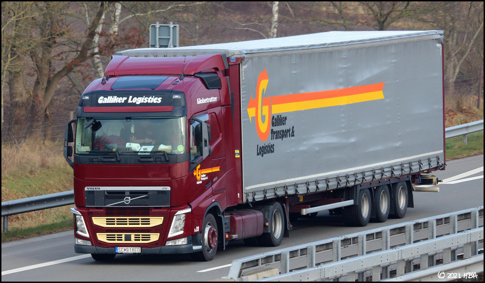 Volvo_FH460_Galliker_Slowakei.thumb.jpg.6e1da107db243c5a10fde2c7f735c293.jpg