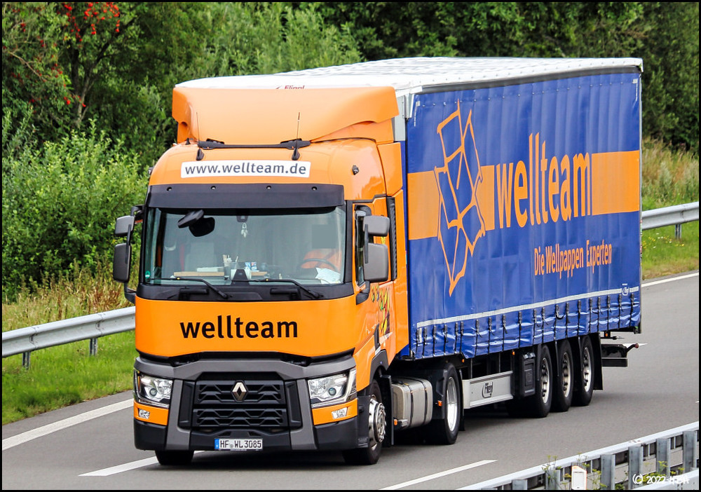 Renault_T_Wellteam_A31.thumb.jpg.e97a1cd968e5a2a58e6c14ba2f84bbbd.jpg