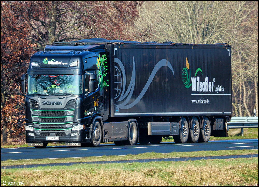 Scania_R580_Wilsaflor3.thumb.jpg.f9be13a3b810646370f36e1cc3b4344a.jpg