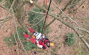 Mehr Informationen zu "STIHL Powerclimber EPC 240-11 B"