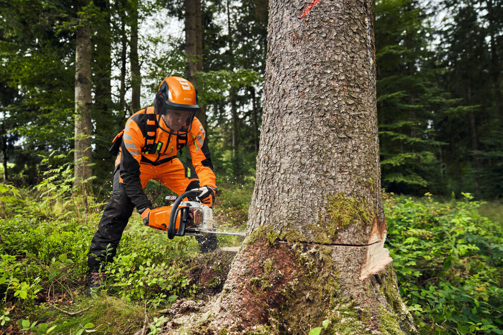 126437_STIHL_MS_400_Anwendung_2_EU - usable RoW.jpg